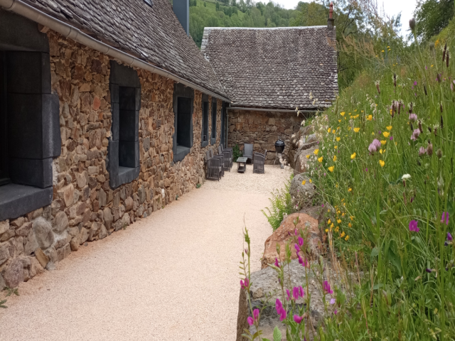 vue arrière - terrain de pétanque
